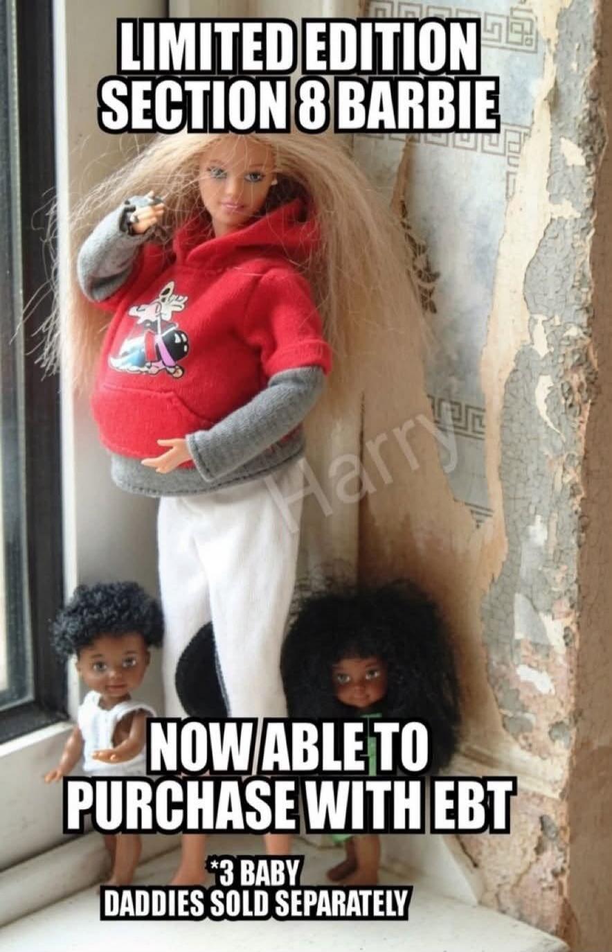 LIMITED EDITION SECTION 8 BARBIE NOW ABLE TO PURCHASE WITH EBT *3 BABY DADDIES SOLD SEPARATELY
