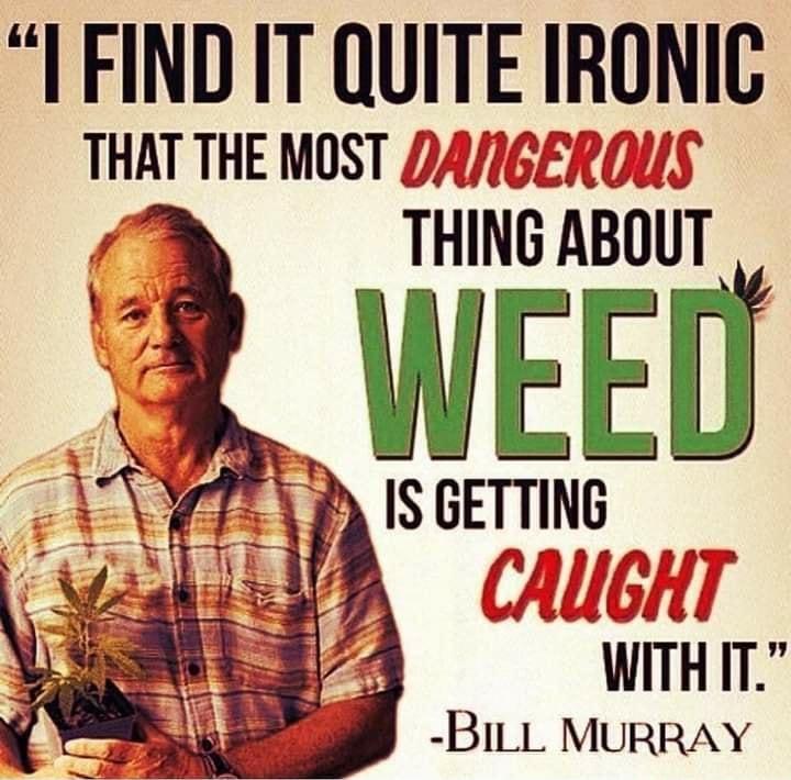 I FINDIT QUITE 93 THAT THE MOST DAI6 THING ABUUT f WEEU MY 24T ISGETTING J 4 WITH IT BiLL MURRAY