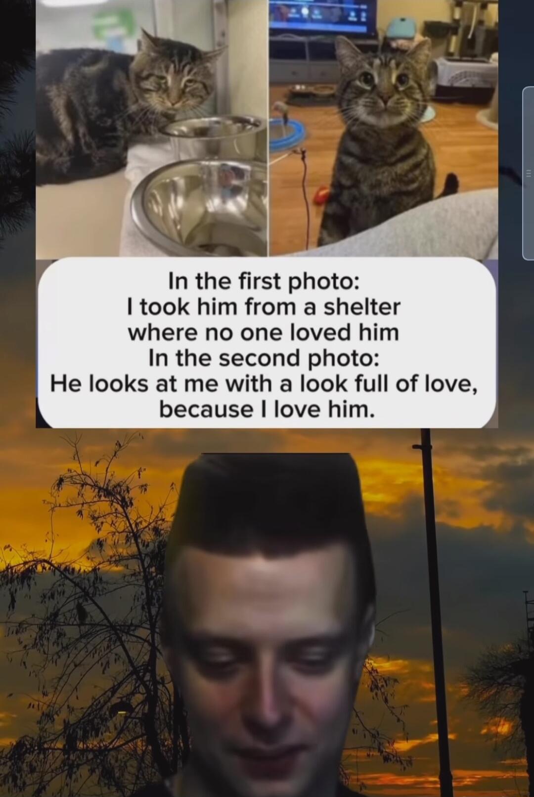 In the first photo I took him from a shelter where no one loved him In the second photo He looks at me with a look full of love because love him