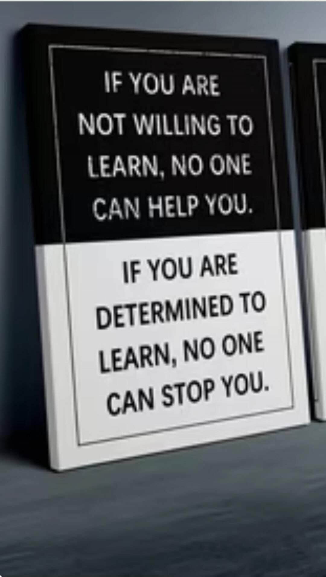 IF YOU ARE NOT WILLING TO LEARN, NO ONE CAN HELP YOU. IF YOU ARE DETERMINED TO LEARN, NO ONE CAN STOP YOU.