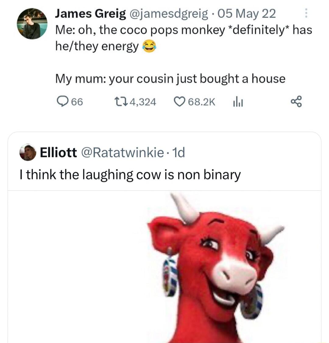 James Greig jamesdgreig 05 May 22 Me oh the coco pops monkey definitely has hethey energy My mum your cousin just bought a house Qe6 Wa32a Oes2k i Elliott Ratatwinkie 1d think the laughing cow is non binary