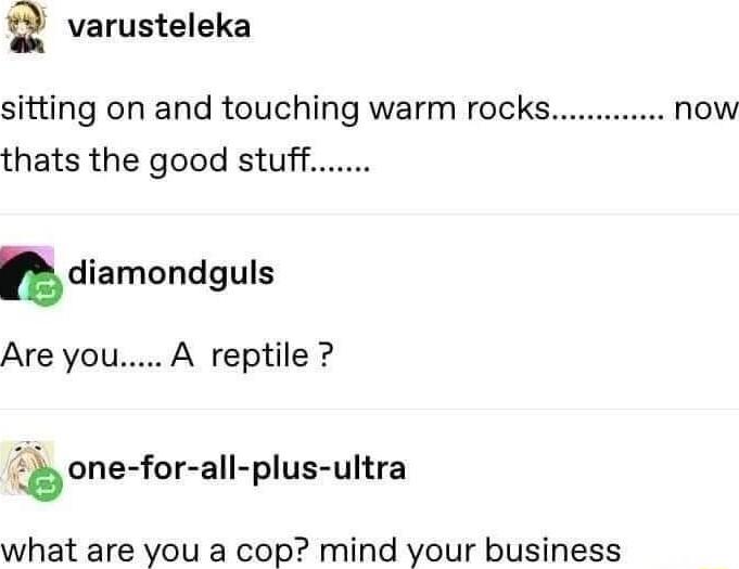Q varusteleka now sitting on and touching warm rocks thats the good stuff bdiamondguls Are you A reptile boneforalIplus ultra what are you a cop mind your business