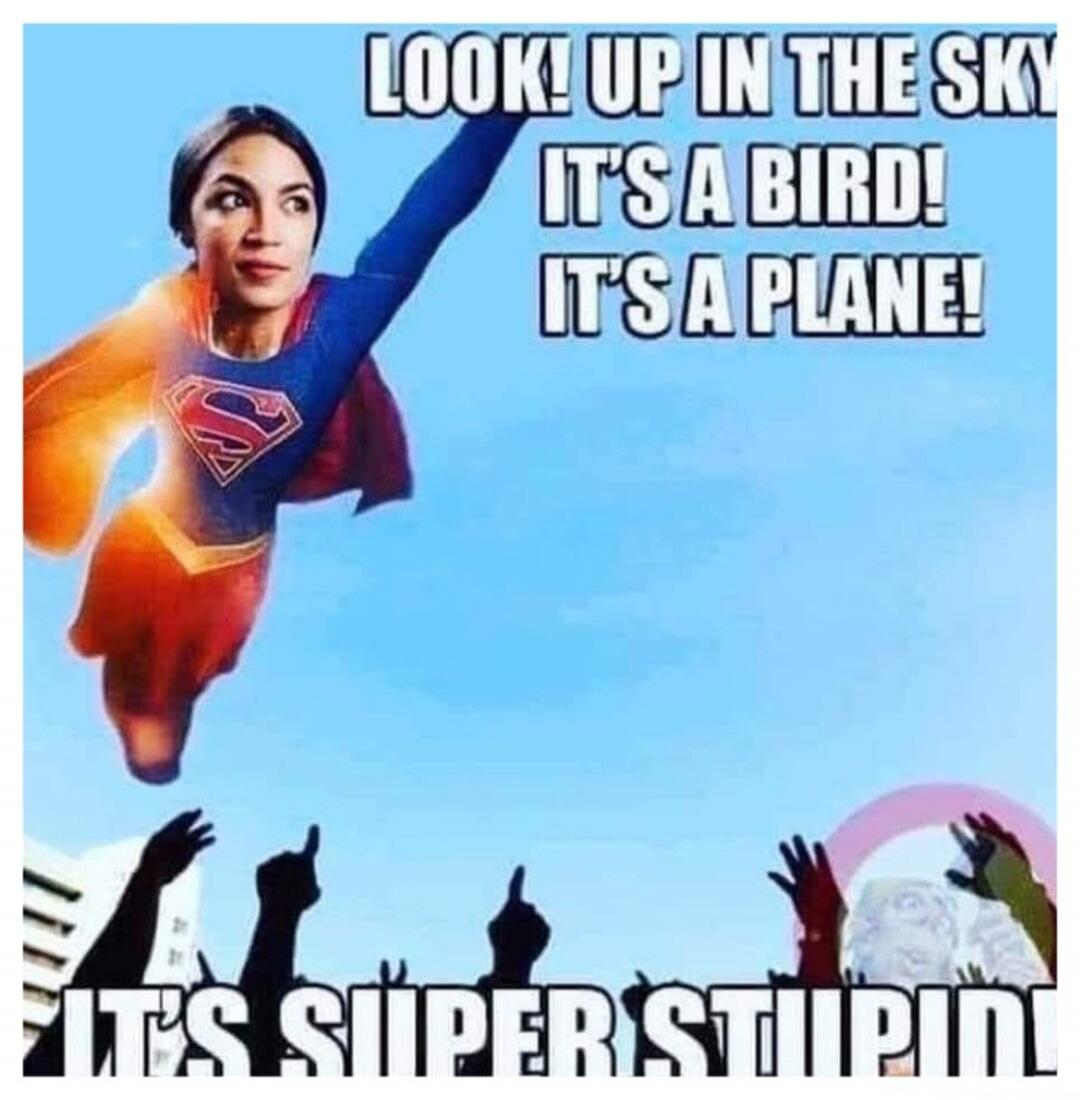 LOOK! UP IN THE SKY IT'S A BIRD! IT'S A PLANE! IT'S SUPER STUPID!