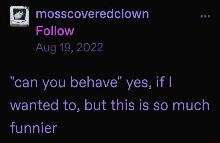 7 UUERVEEL 0 Follow Aug 19 2022 can you behave yes if wanted to but this is so much funnier