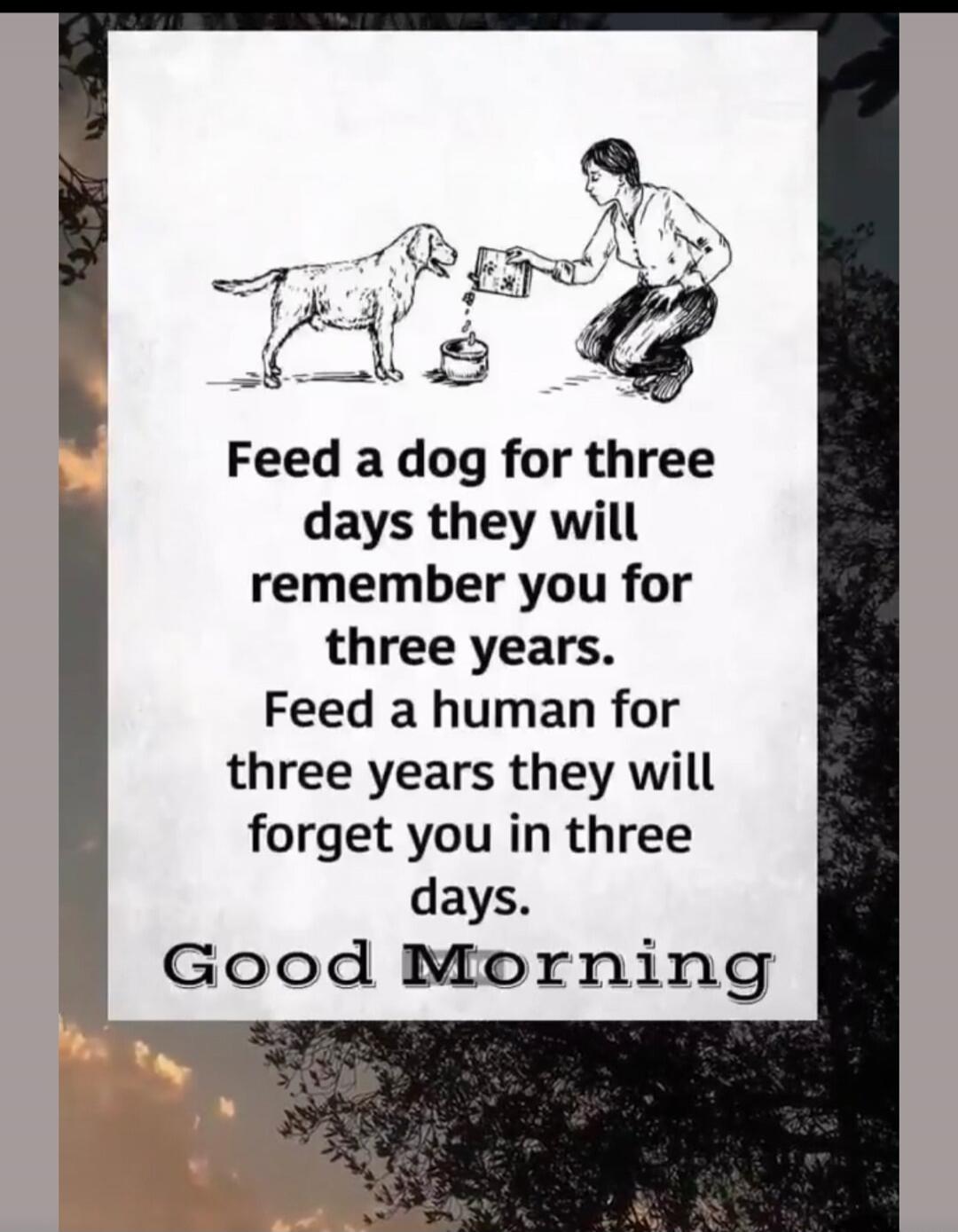 Feed a dog for three days they will remember you for three years. Feed a human for three years they will forget you in three days. Good Morning