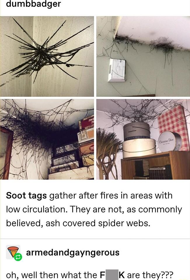 dumbbadger m 4 Soot tags gather after fires in areas with low circulation They are not as commonly believed ash covered spider webs armedandgayngerous oh well then what the FIBIK are they