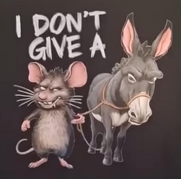I DON'T GIVE A rat's ass. A mischievous mouse is leading an angry donkey, forming a visual pun for the phrase 'I don't give a rat's ass'.