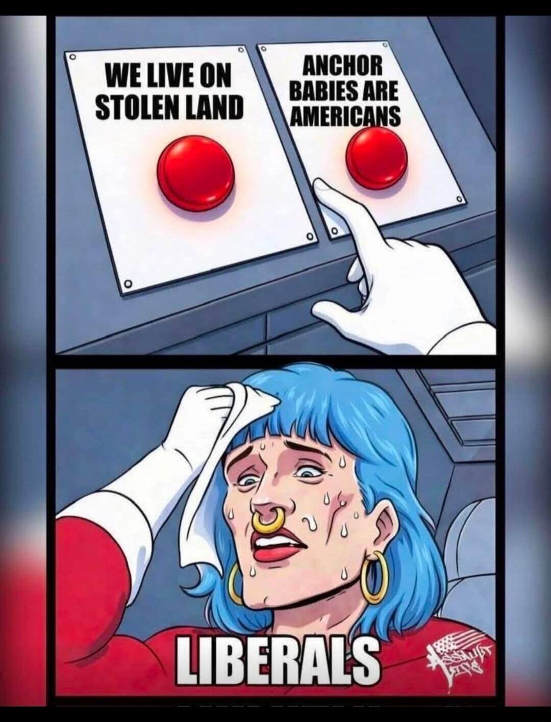 Two buttons are presented: 'WE LIVE ON STOLEN LAND' and 'ANCHOR BABIES ARE AMERICANS'. A hand is about to press the second button. Below, a person with blue hair, a nose ring, and large hoop earrings is sweating profusely and wiping their forehead. The text 'LIBERALS' is displayed below the person.