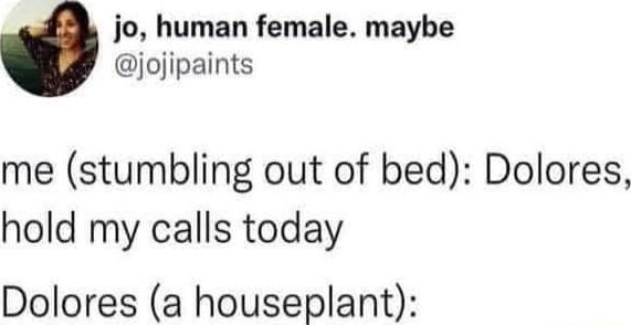 jo human female maybe jojipaints me stumbling out of bed Dolores hold my calls today Dolores a houseplant