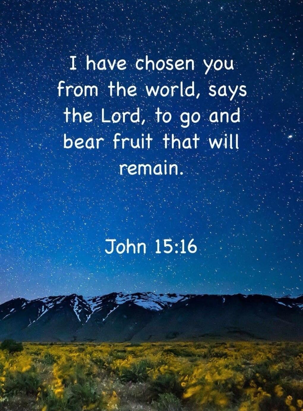 I have chosen you from the world, says the Lord, to go and bear fruit that will remain. John 15:16