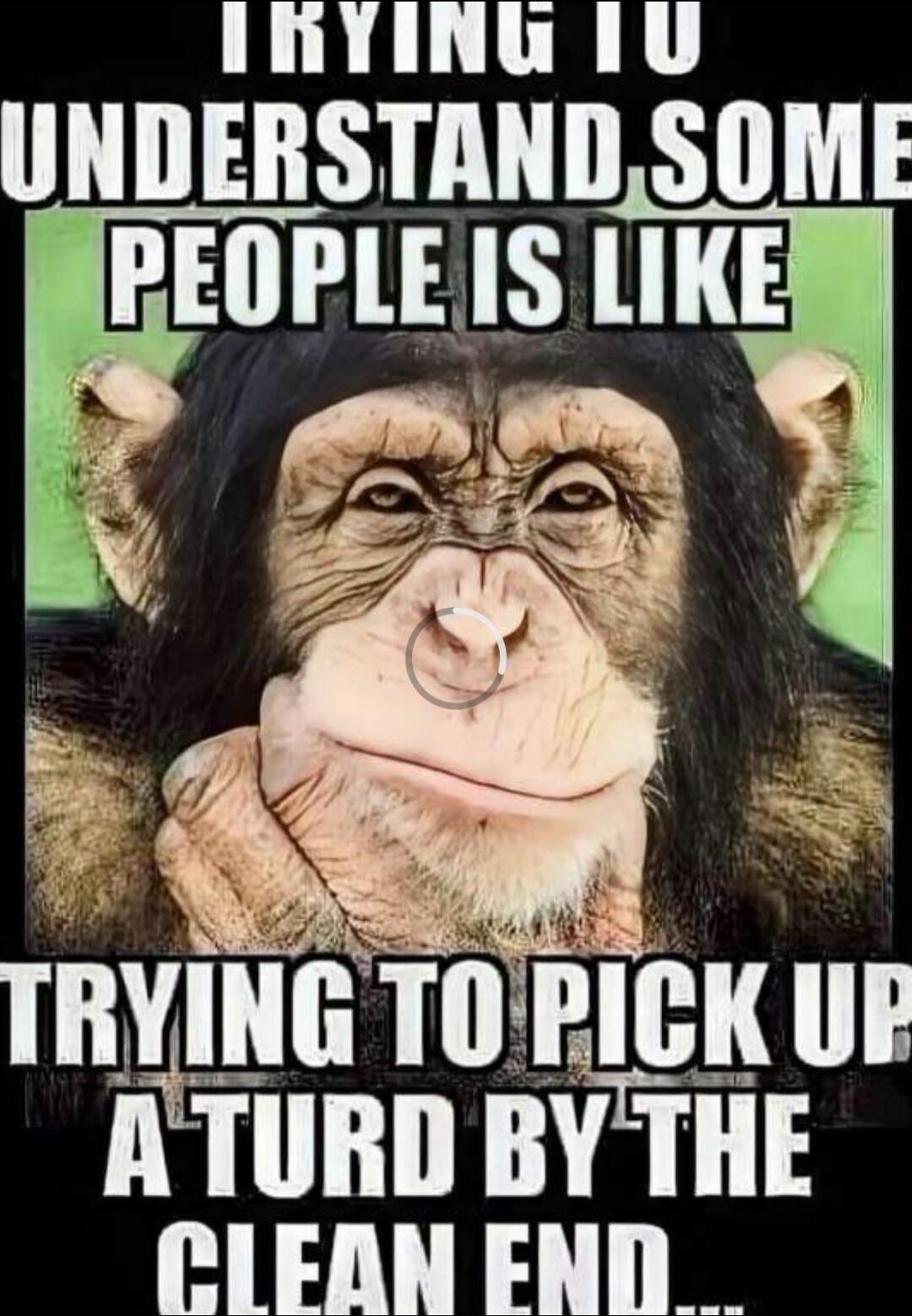 Trying to understand some people is like trying to pick up a turd by the clean end...
