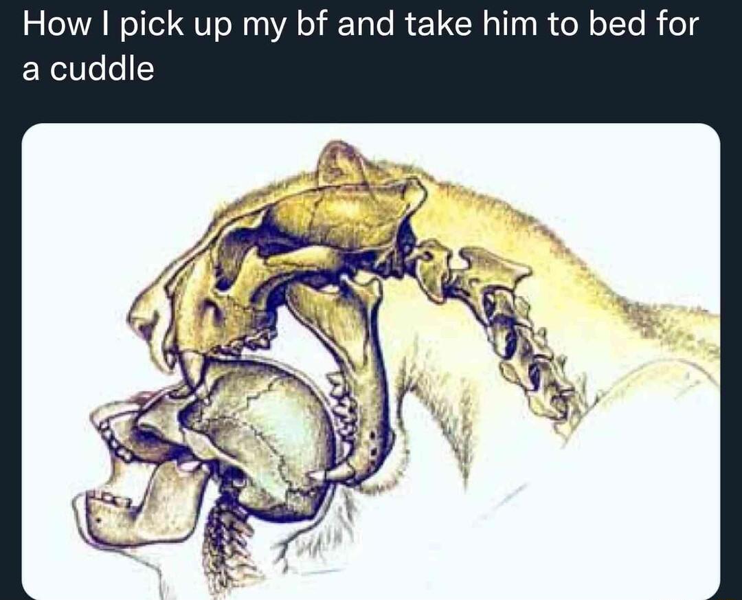 How pick up my bf and take him to bed for