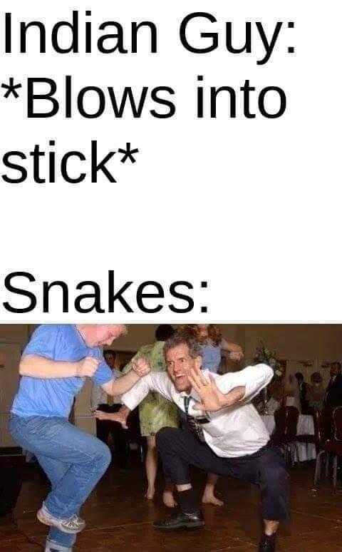 Indian Guy Blows into stick Snakes