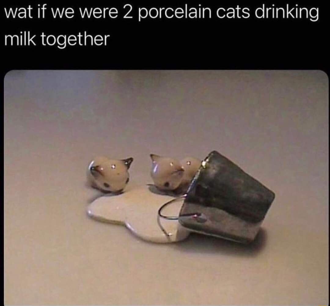 wat if we were 2 porcelain cats drinking milk together