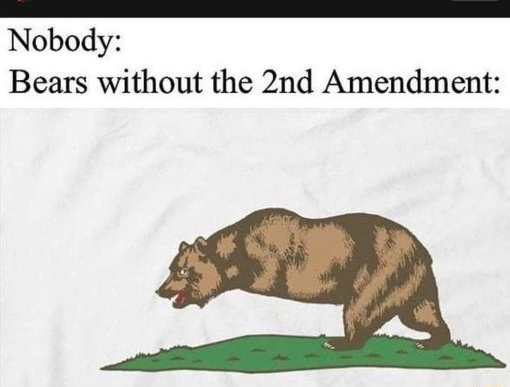 66666666 00 Nobody Bears without the 2nd Amendment