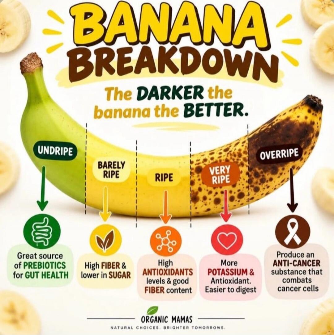 BANANA BREAKDOWN. The DARKER the banana the BETTER. UNDRIPE: Great source of PREBIOTICS for GUT HEALTH. BARELY RIPE: High FIBER & lower in SUGAR. RIPE: High ANTIOXIDANTS levels & good FIBER content. VERY RIPE: More POTASSIUM & Antioxidant. Easier to digest. OVERRIPE: Produce an ANTI-CANCER substance that combats cancer cells. ORGANIC MAMAS. NATURAL