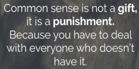 Common sense is not a gift, it is a punishment. Because you have to deal with everyone who doesn't have it.