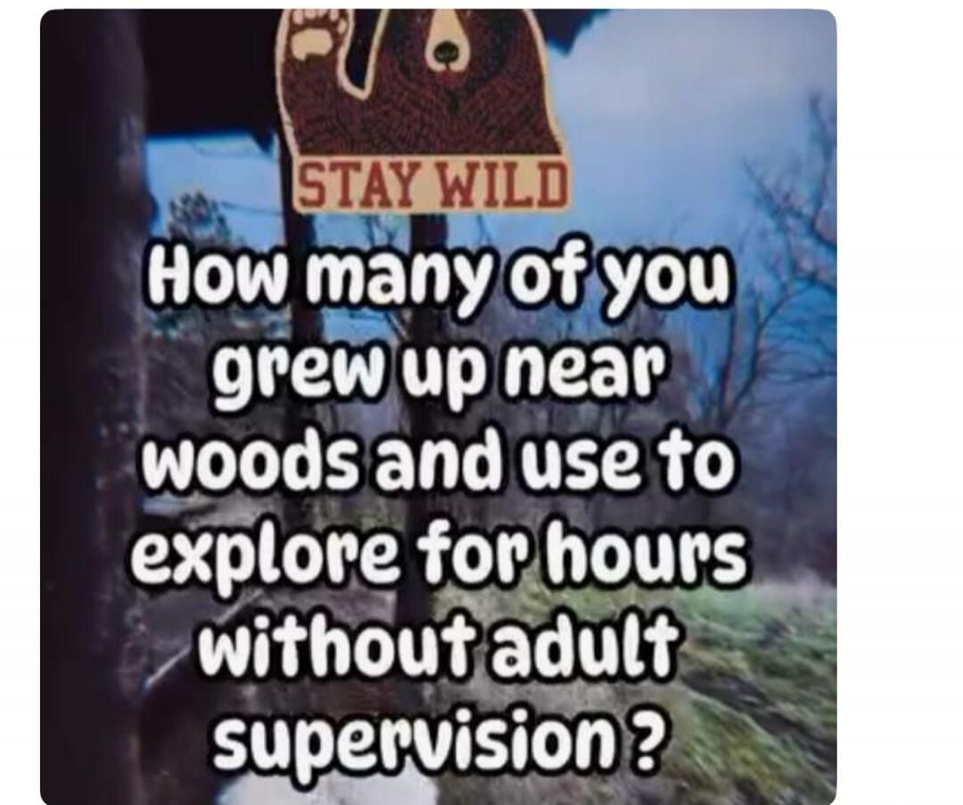 STAY WILD. How many of you grew up near woods and use to explore for hours without adult supervision?