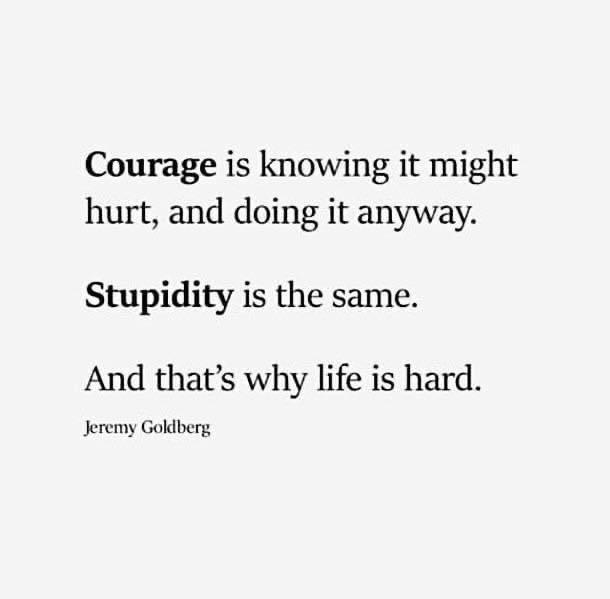 Courage is knowing it might hurt and doing it anyway Stupidity is the same And thats why life is hard Jeremy Goldberg