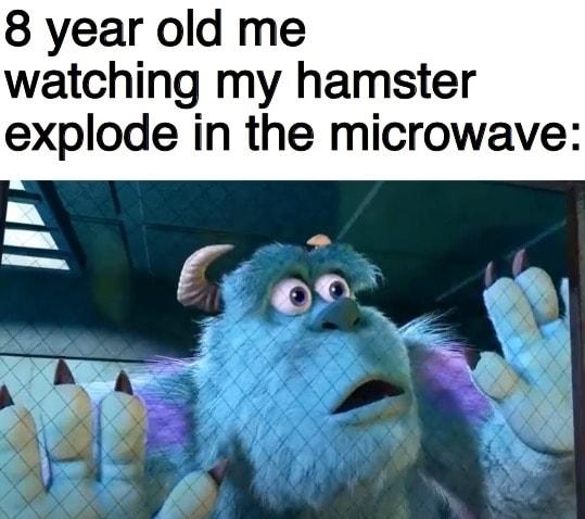 8 year old me watching my hamster explode in the microwave