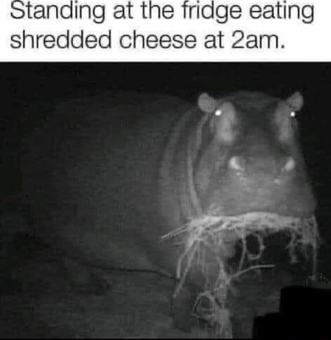 tanding at the fridge eating shredded cheese at 2am