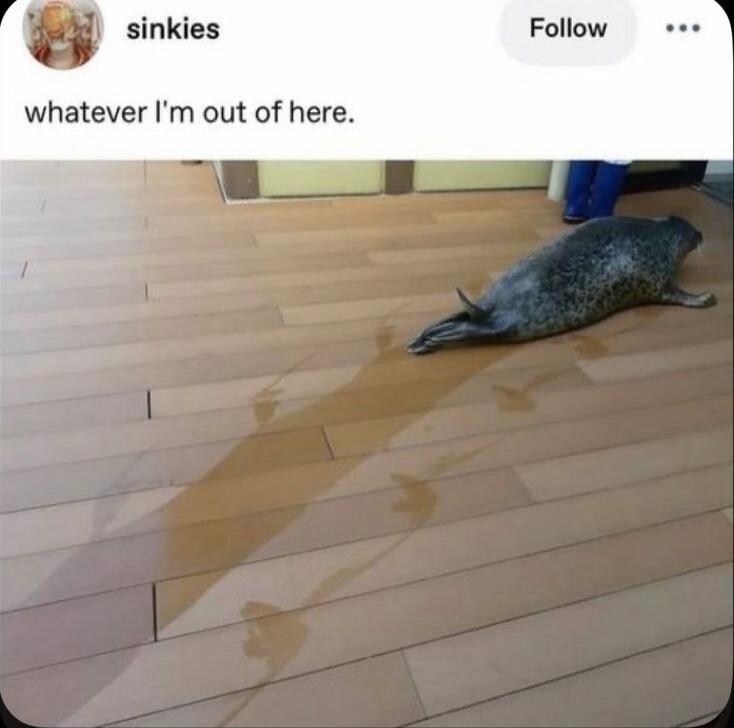 whatever I'm out of here.