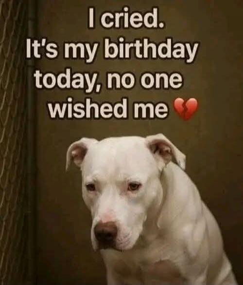 I cried. It's my birthday today, no one wished me