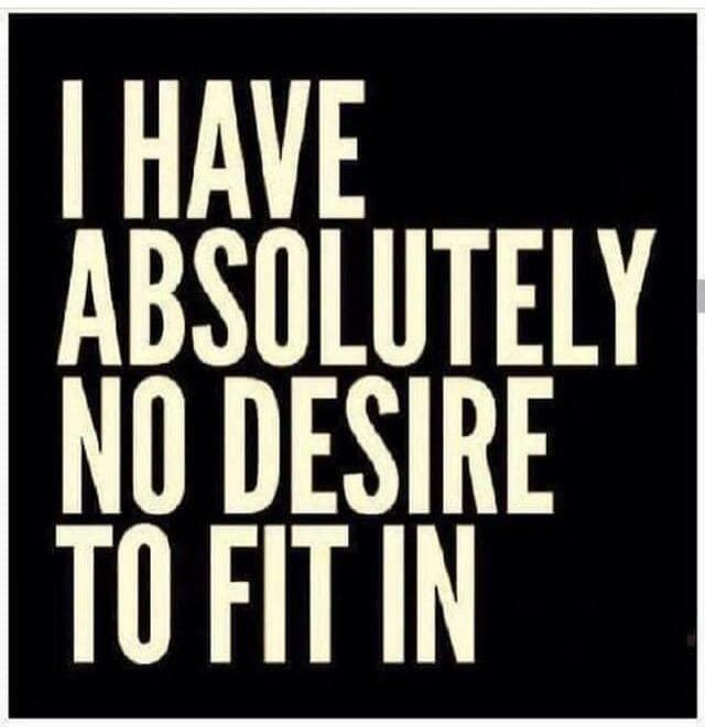 I HAVE ABSOLUTELY NO DESIRE TO FIT IN