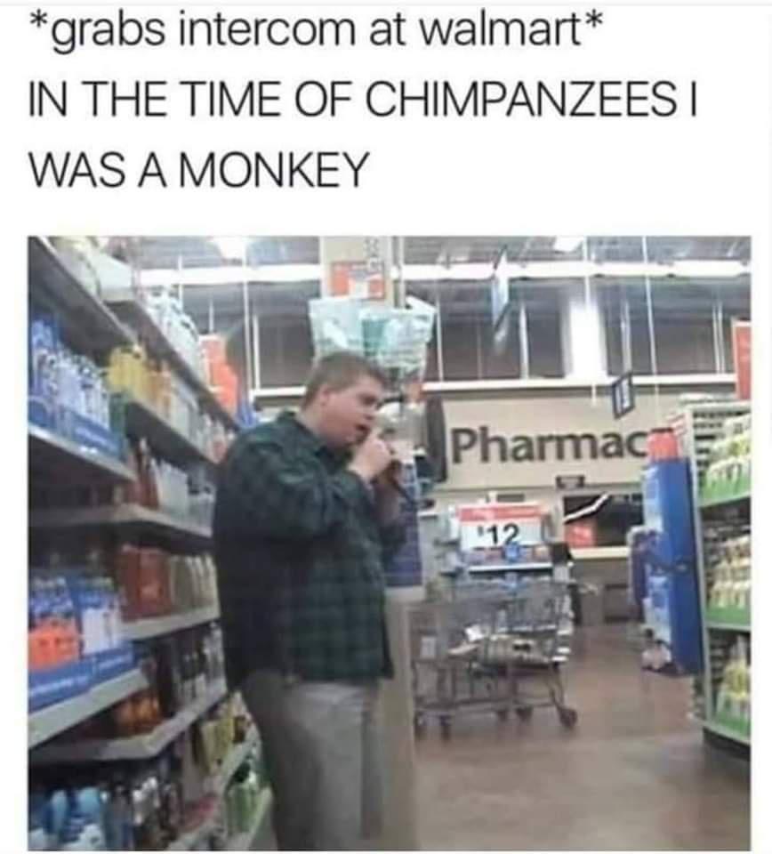grabs intercom at walmart IN THE TIME OF CHIMPANZEES WAS A MONKEY