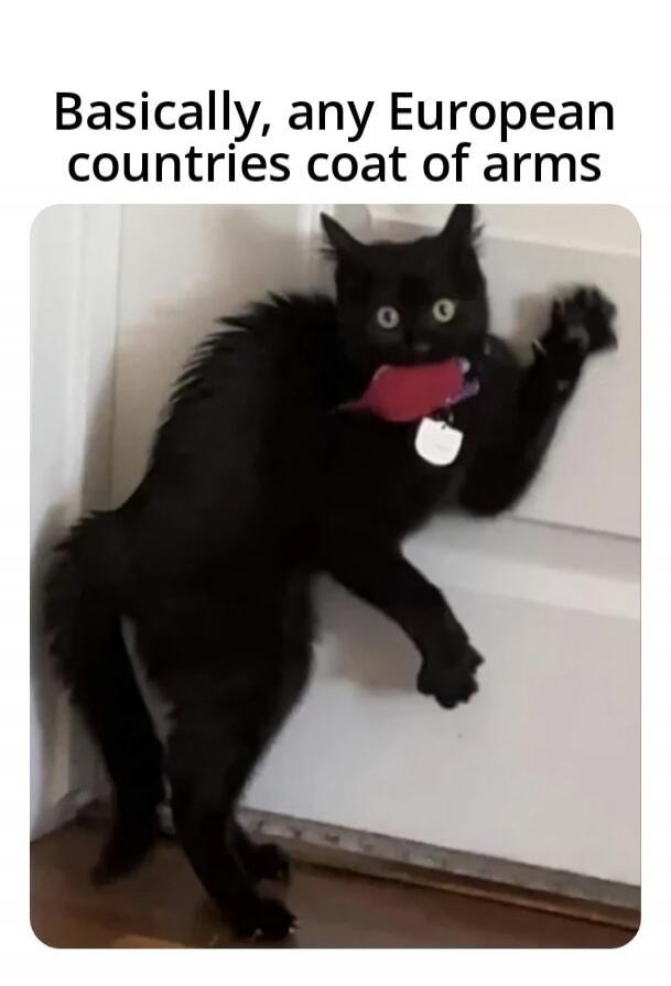 Basically, any European countries coat of arms