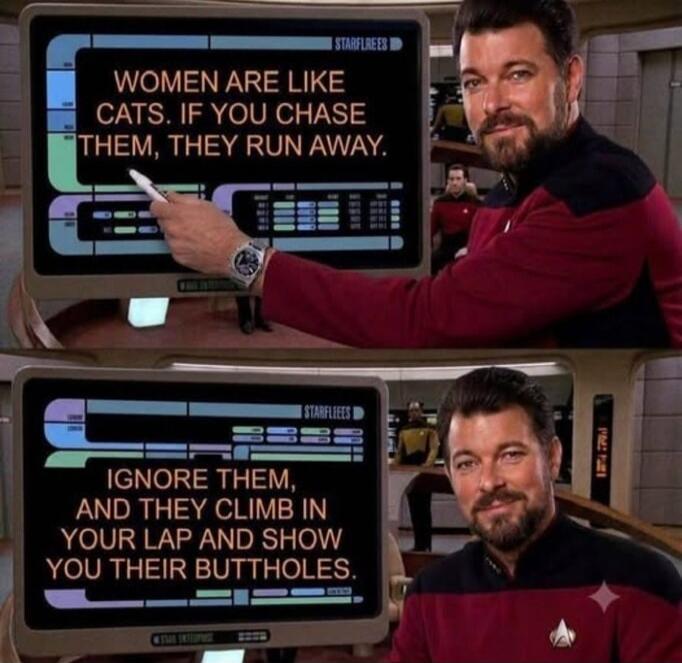 WOMEN ARE LIKE CATS. IF YOU CHASE THEM, THEY RUN AWAY. IGNORE THEM, AND THEY CLIMB IN YOUR LAP AND SHOW YOU THEIR BUTTHOLES.