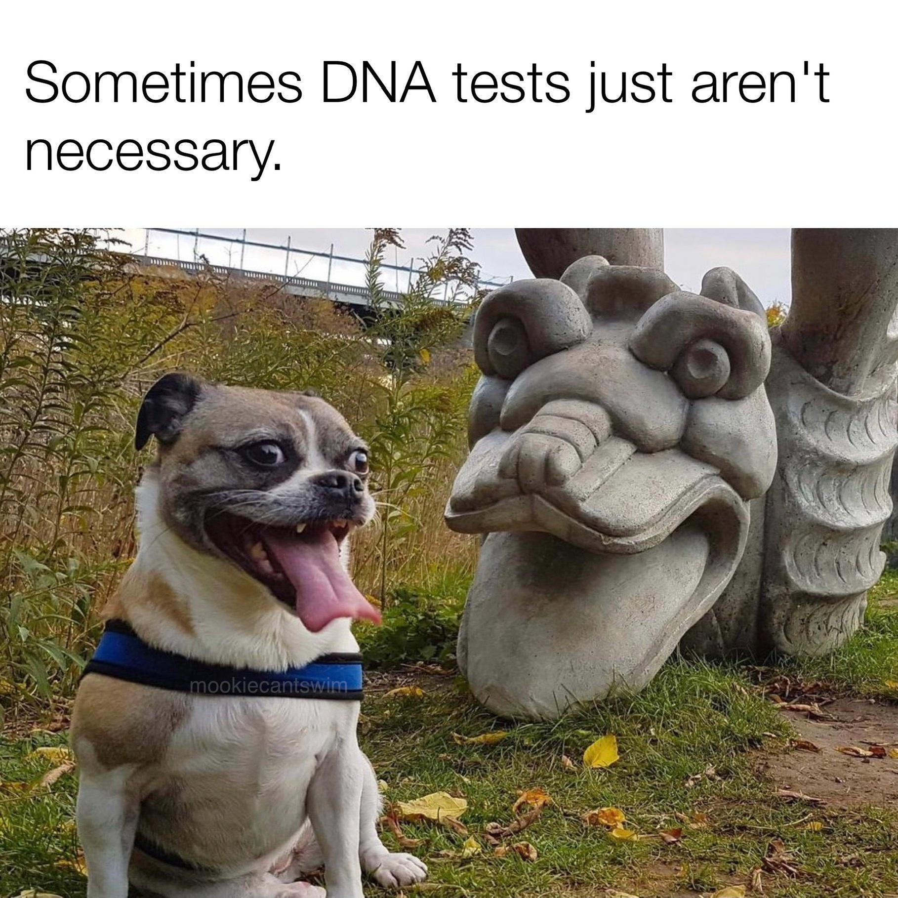 Sometimes DNA tests just arent necessary