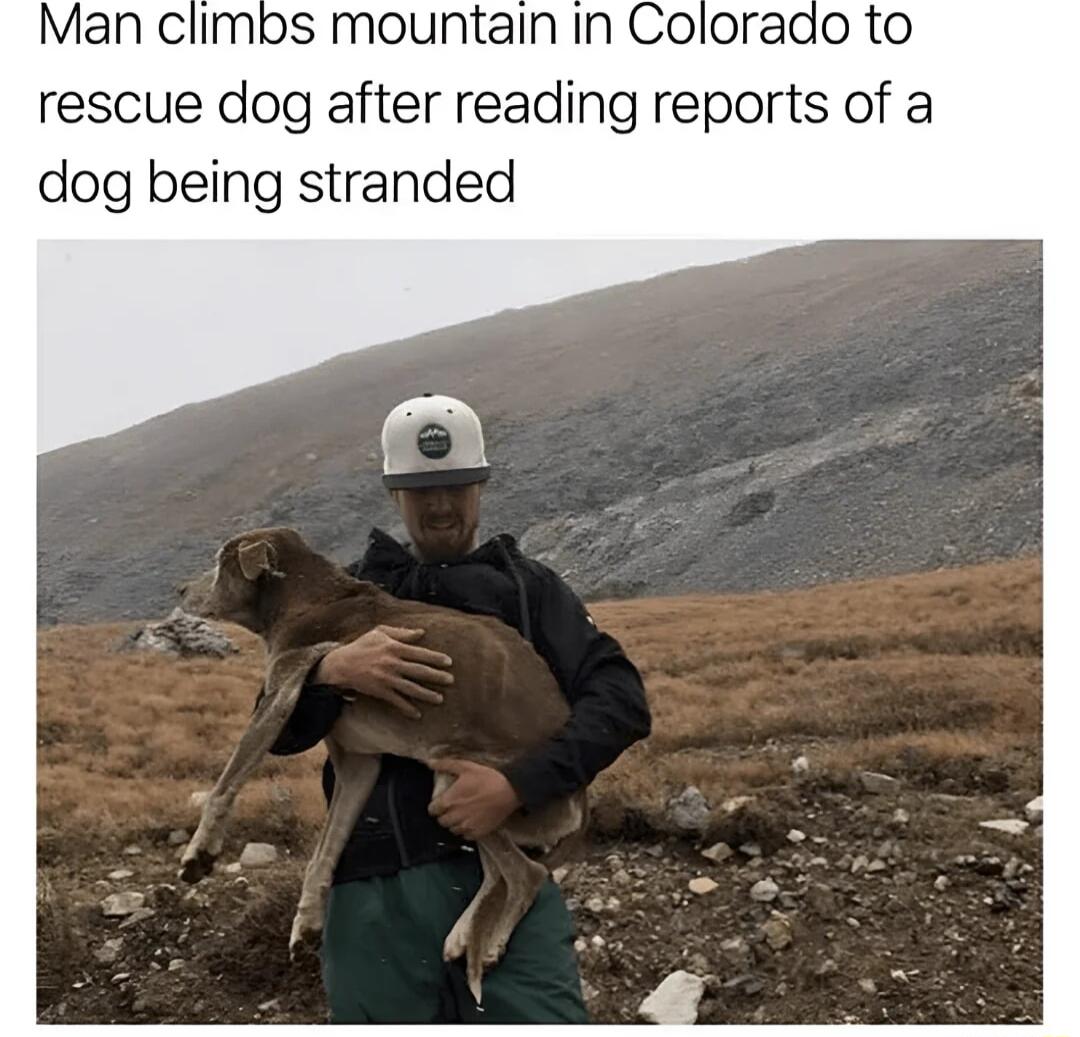 Man climbs mountain in Colorado to rescue dog after reading reports of a dog being stranded
