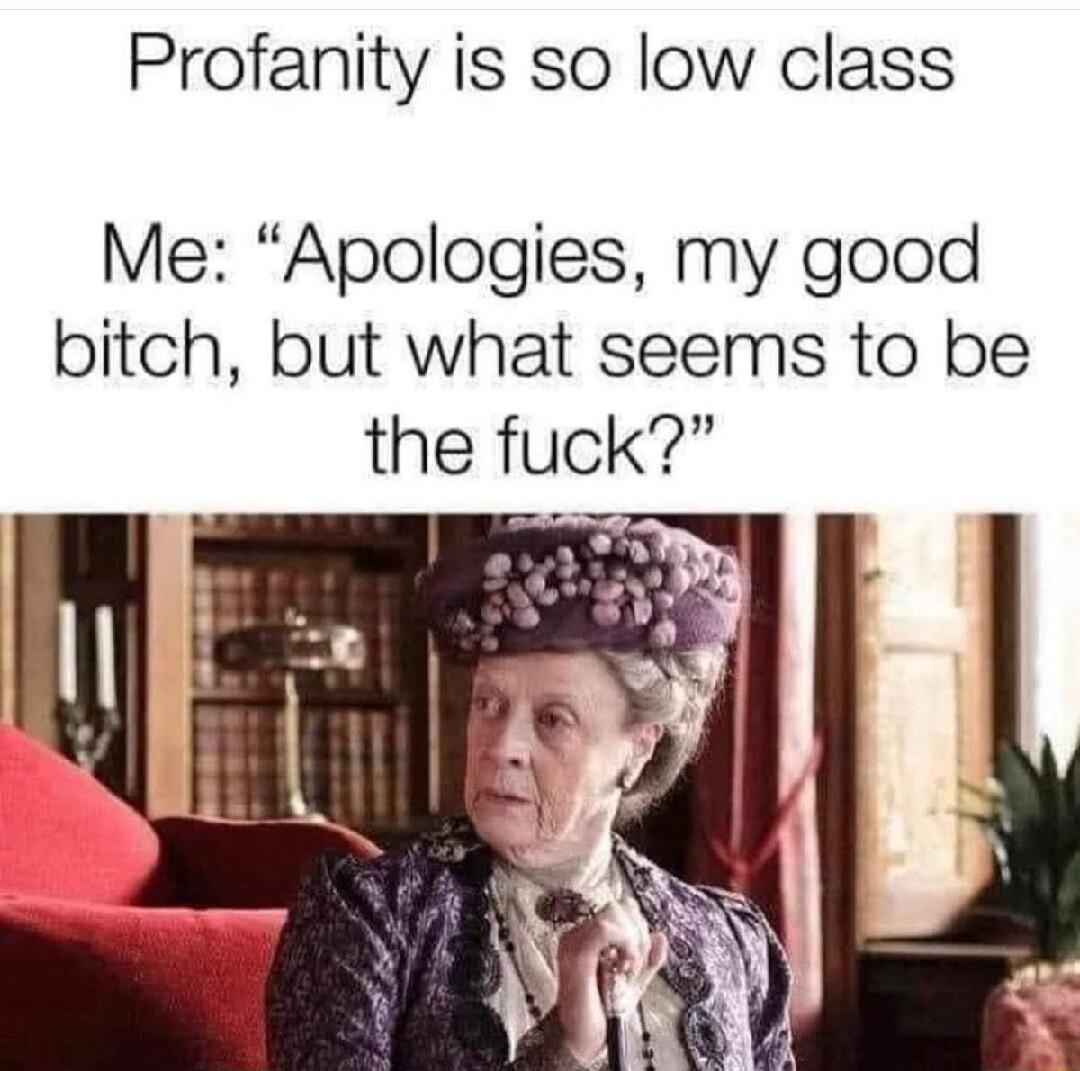 Profanity is so low class Me Apologies my good bitch but what seems to be the fuck