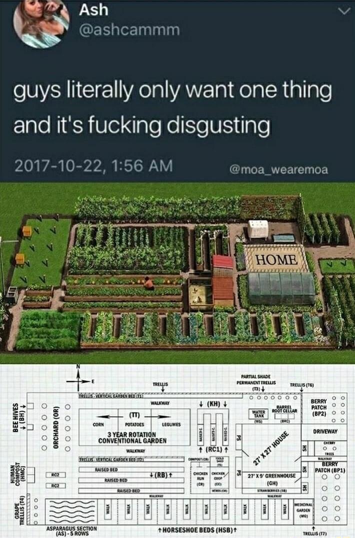 e WL Dashcammm YN CIE YAl ANE Tpi KelaleRiallple and its fucking disgusting 2017 10 22 156 AM mo a_wearemoa