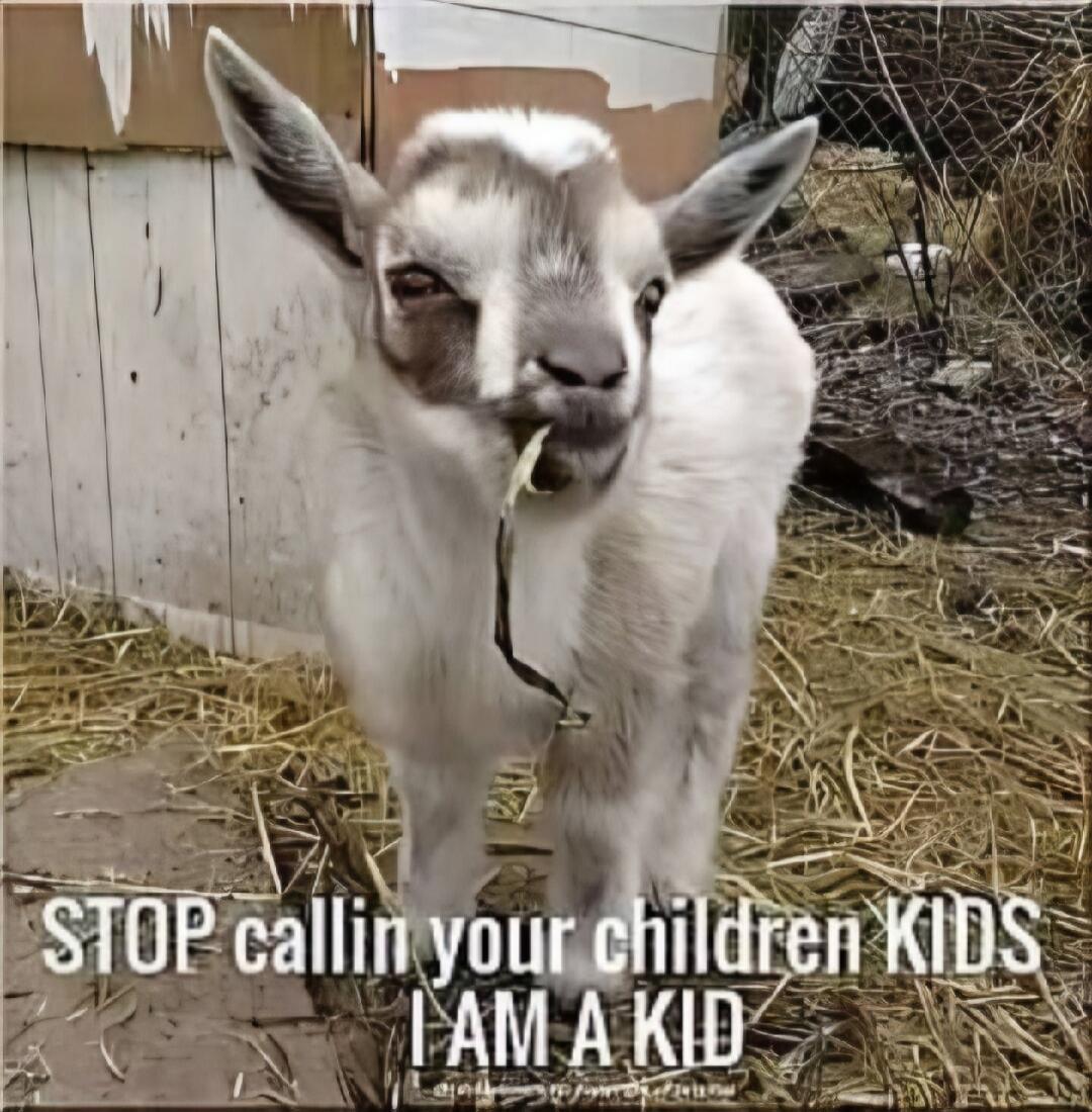 STOP callin your children KIDS I AM A KID