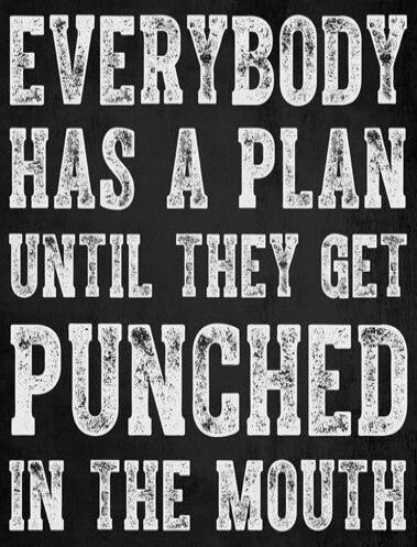 EVERYBODY HAS A PLAN UNTIL THEY GET PUNCHED IN THE MOUTH