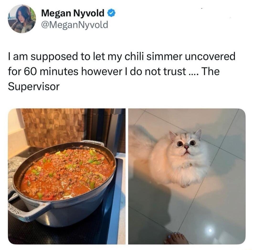 I am suppose to let my chili simmer uncovered for 60 minutes however I do not trust .... The Supervisor