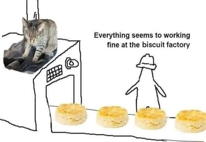 Everything seems to working fine at the biscuit factory