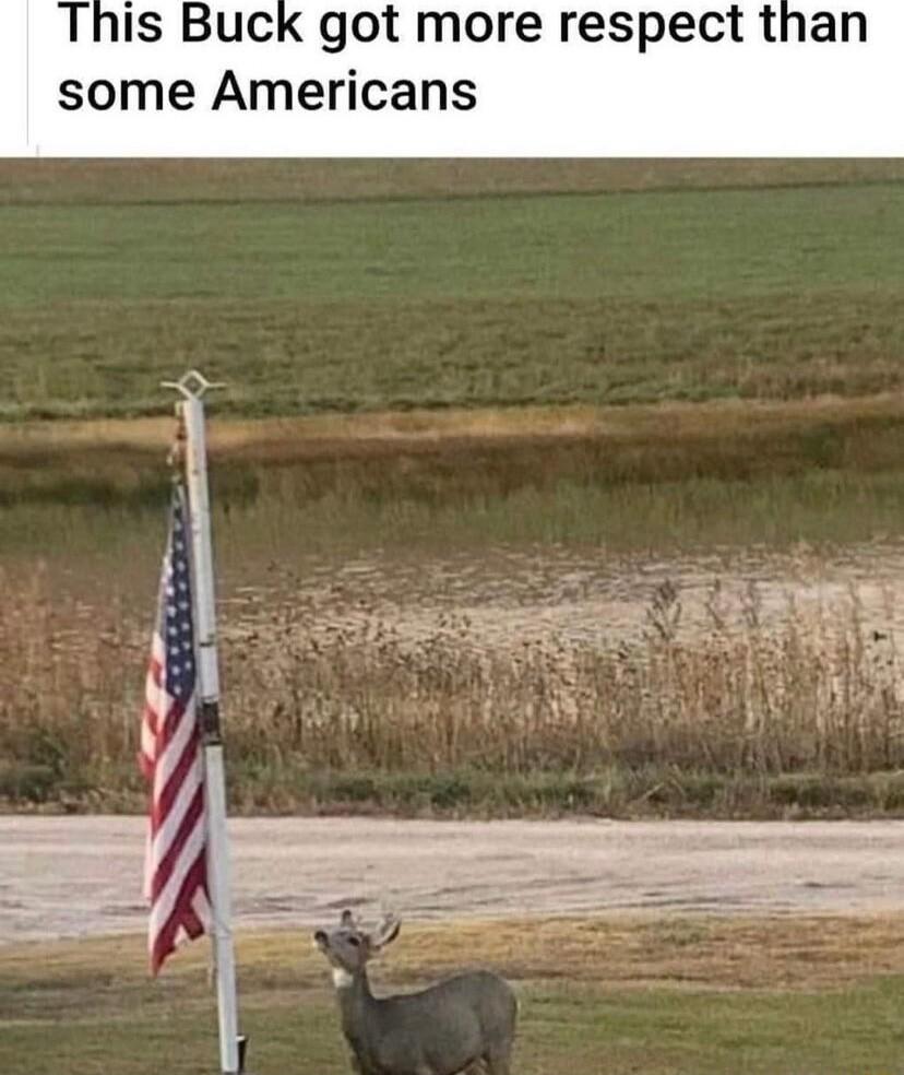 This Buck got more respect than some Americans