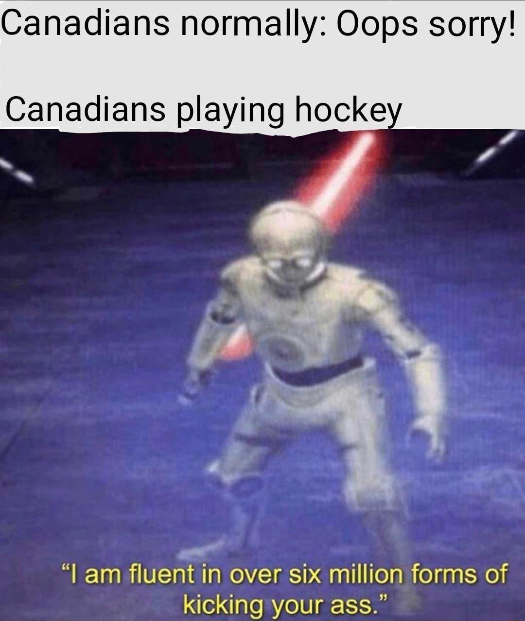 Canadians normally Oops sorry Canadians playing hockey am fluent in over six million forms of kicking your ass