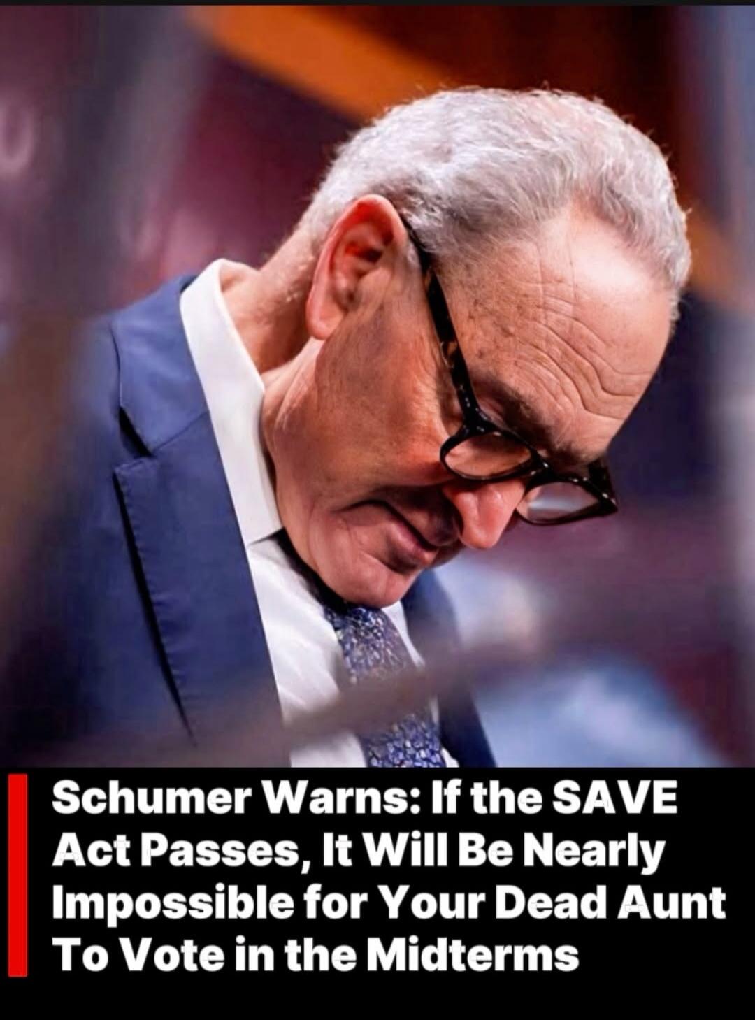 Schumer Warns: If the SAVE Act Passes, It Will Be Nearly Impossible for Your Dead Aunt To Vote in the Midterms