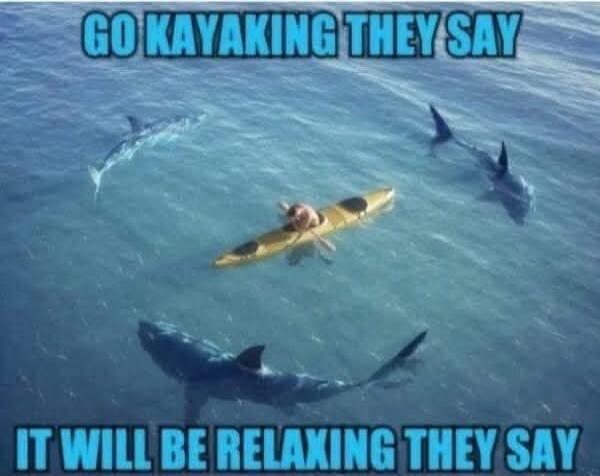 GO KAYAKING THEY SAY IT WILL BE RELAXING THEY SAY