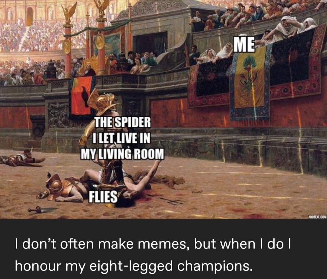 dont often make memes but when do honour my eight legged champions