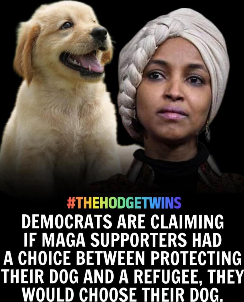#THEHODGETWINS DEMOCRATS ARE CLAIMING IF MAGA SUPPORTERS HAD A CHOICE BETWEEN PROTECTING THEIR DOG AND A REFUGEE, THEY WOULD CHOOSE THEIR DOG.