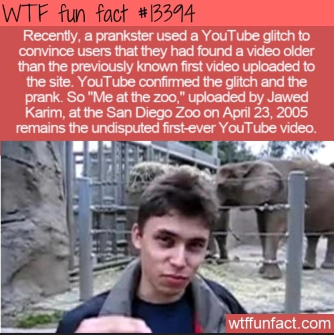 Recently a prankster used a YouTube glitch to convince users that they had found a video older than the previously known first video uploaded to the site YouTube confirmed the glitch and the prank So Me at the zoo uploaded by Jawed Karim at the San Diego Zoo on April 23 2005 remains the undisputed first ever YouTube video