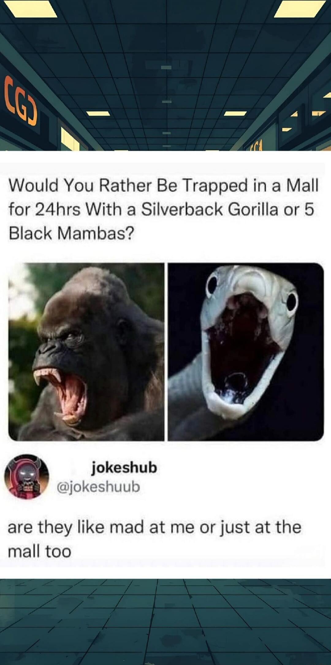 Would You Rather Be Trapped in a Mall for 24hrs With a Silverback Gorilla or 5 Black Mambas?
are they like mad at me or just at the mall too