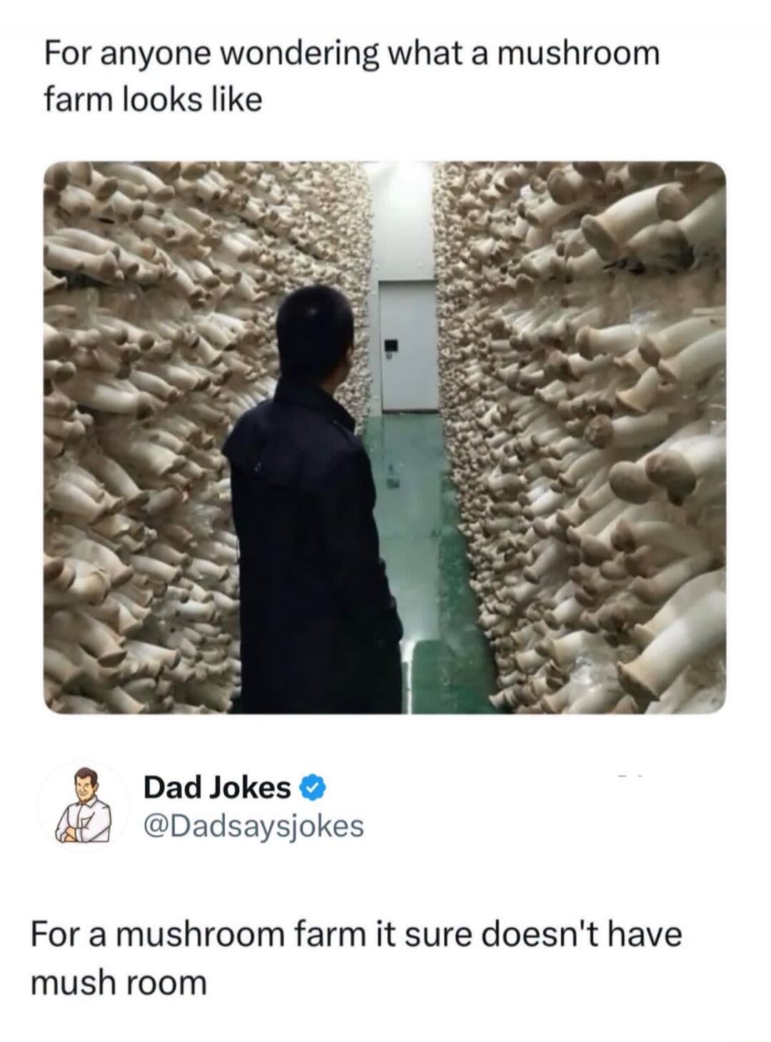 For anyone wondering what a mushroom farm looks like. Dad Jokes. @Dadsaysjokes. For a mushroom farm it sure doesn't have mush room.