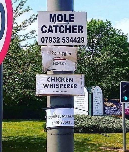 CATCHER 07932 534429 CHICKEN WHISPERER