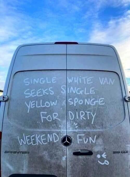 SINGLE WHITE VAN SEEKS SINGLE YELLOW SPONGE FOR DIRTY WEEKEND FUN